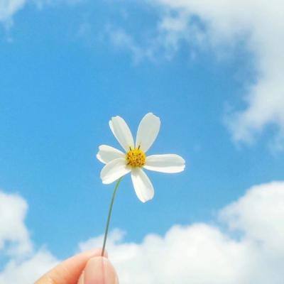 博鱼电竞手机app下载截图