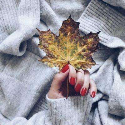 可下分电玩手机app下载