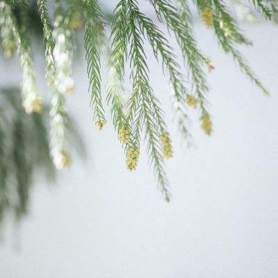 万博全站(ManBetX)手机app下载