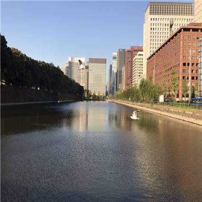 半岛·综合app下载