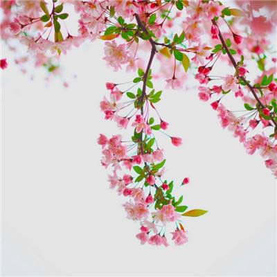 pg棋牌软件平台