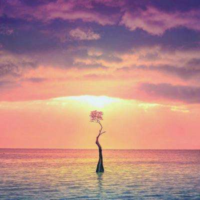 半岛·综合中国官方网站